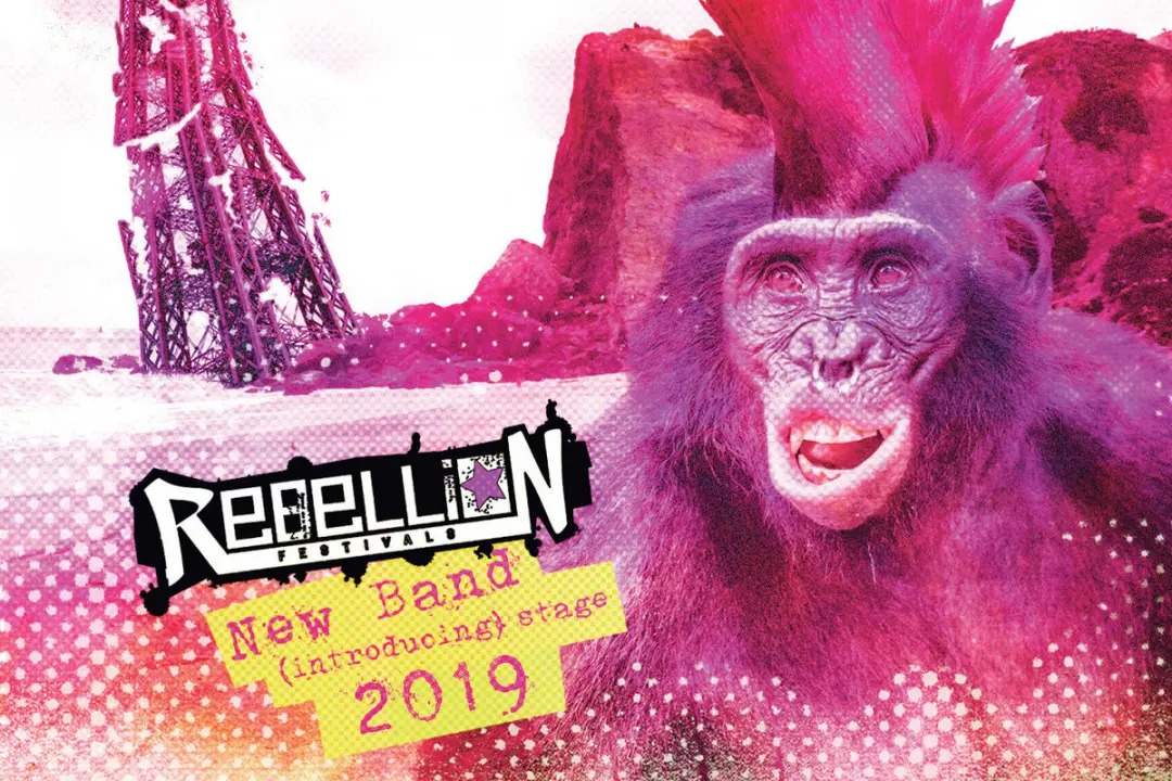 Dopamines, Latte+, Battalion Zoska, more on Rebellion Comp