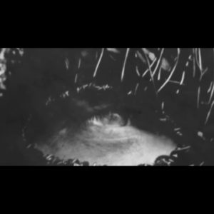 DAWN RAY’D – RAISE THE FLAILS (OFFICIAL VIDEO)