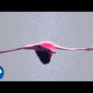 Deftones’ New Album Will “Definitely Be Out Next Year”