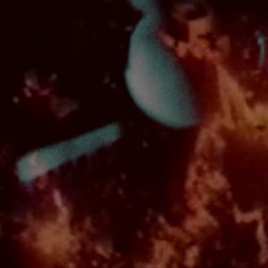 White Cowbell Oklahoma – Harder Come, Harder Fall (Official Video)