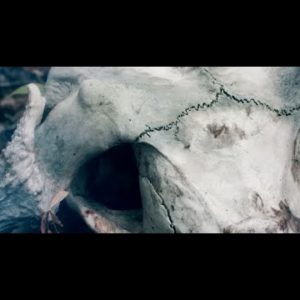 Within Nostalgia unveil their video for single “Death Lifes’ Lover”!