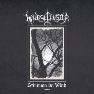 WALDGEFLÜSTER – Waldgeflüster (Official Audio 2019)