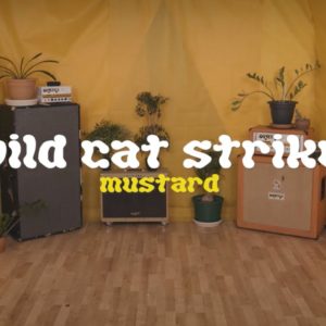 WILD CAT STRIKE ANNOUNCE MUSTARD COLOURED YEARS EP + MUSTARD (OFFICIAL VIDEO)