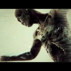 Thrasherwolf – The Vortex (Official Lyric Video)