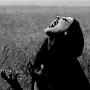 Video Spotlight: Meet Cadaver