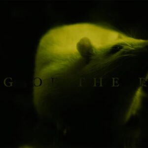 【NEWS】デスコアバンドBodysnatcherが新曲 “King of the Rats” のMusic Videoを公開