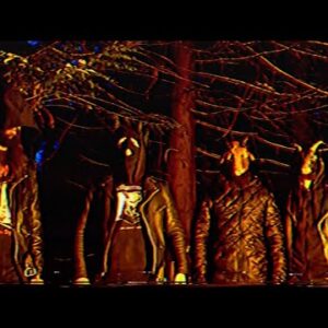Video Premiere: Wormwitch – ‘The Wolves of Ossory’