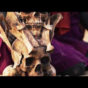 Signs of the Swarm – Death Whistle (Official Video)