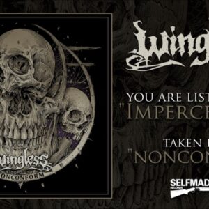 Track Premiere: Wingless – ‘Imperceptible’