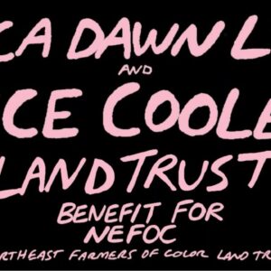 News: Erica Dawn Lyle + Vice Cooler Share Single