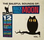 Black Valley Moon Release Debut Allbum