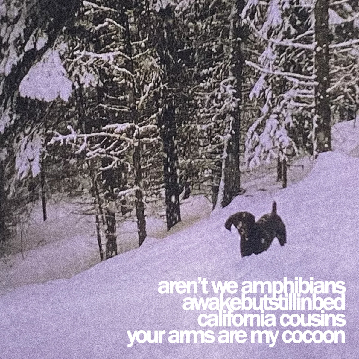 Stream a 4-way emo/screamo split from Aren’t We Amphibians, awakebutstillinbed, California Cousins & YAAMC