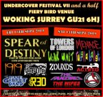 The Undercover Festival Returns To It’s Roots
