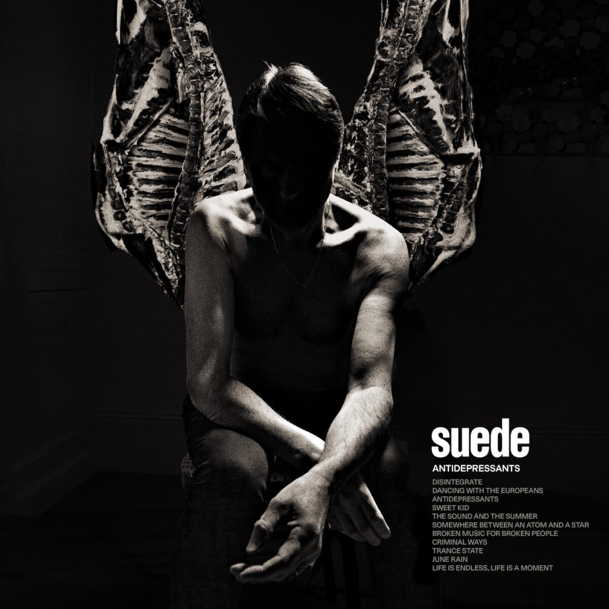 Suede-Antidepressants